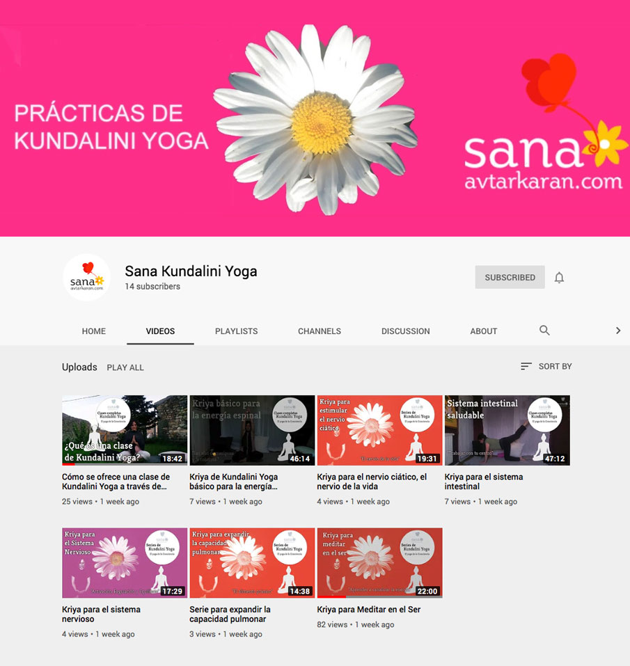 Canal Sana de Avtar Karan en Youtube